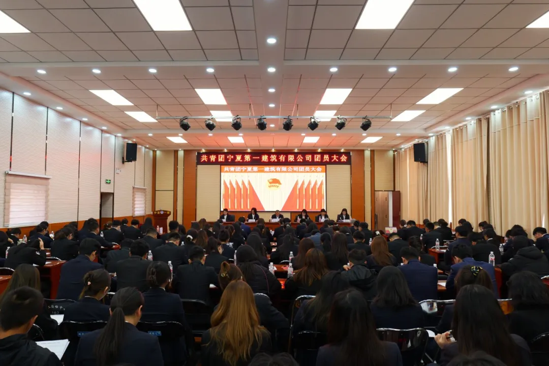 砥礪篤行書芳華 奮楫揚帆鑄輝煌——寧夏一建團委圓滿完成換屆選舉工作